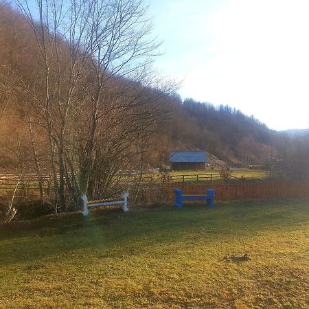 Villa Vikendica Nole Jahorina Pale Exterior foto